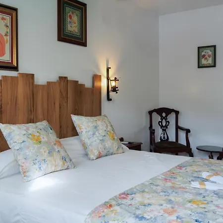 Y De Guriezo Trebuesto